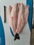 BRANZINO FILETTO 300 GR PP 1X6