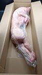 MAIALINO INTERO 5/8 KG 'BECK'