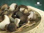 FUNGHI CARDONCELLI 'SPIRITO CONTADINO' 2X2 KG