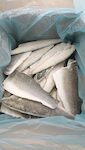 FILETTI DI BRANZINO 160/200 GR TURCHIA 1X5 KG