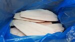 FILETTI DI HALIBUT 200/400 GR 1X5 KG