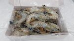 MAZZANCOLLE BLU' GRAN CRU' 21/25 6X1 KG