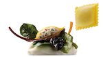 SCRIGNI CON 'SQUACQUERONE DI ROMAGNA  DOP' ED ERBETTE DI CAMPO 1X2 KG