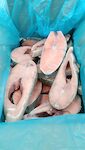 TRANCE DI SALMONE 1X5 KG
