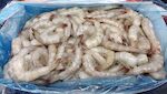 CODE DI MAZZANCOLLE ECUADOR 41/50 VERY CHEF 6X2 KG