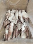 CALAMARI MAROCCO 3P 1X5 KG