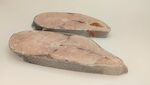 Ricciola Trancio Wofco Peso Pieno X5