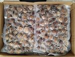 VONGOLE C/G 60/80'M' 10X1