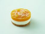 PANNA COTTA E MANGO 16 PZ TDP