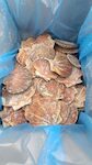 CAPESANTE FRANCIA 500/700 INTERE 1X10 KG
