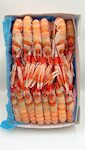SCAMPI PORCUPINE 5/10 3X3 KG