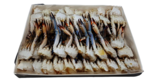 GRANCHIETTI TUNISIA PULITI 'M' 31/50 10X1 KG