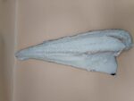 BACALAO FILETTO KG.1+ EXTRA  ISLANDA PESO PIENO X9,9