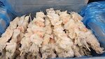 SPIEDINI DI CALAMARI E GAMBERI PANATI ARGENTINI 1X3 KG