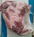 VITELLONE LAZADORE SPINACINO circa 2