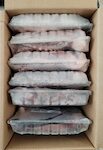 TOTANO TENTACOLI CRUDI 1/2 CIRCA 9KG