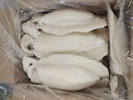 SEPPIE GHANA 1500/2000 PP 1X12 KG