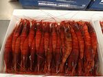 GAMBERI ROSSI MOZAMBICO 'L' 12X800 GR