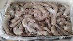MAZZANCOLLE CODE VERY CHEF 41/50 PESO PIENO 10X2,27