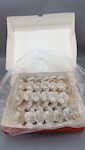 SPIEDINI DI MAZZANCOLLE SGUSCIATI E DEVENATI 31/35 VERY CHEF 6X1 KG