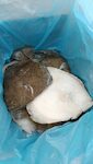 ROMBO 500/1000 GR 1X5 KG