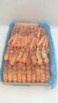 SCAMPI IRLANDA 16/20 3X3 KG