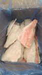 FILETTI DI SCORFANO 150/200 CON PELLE 1X5 KG