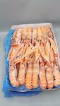 SCAMPI IRLANDA 6/10 3X3 KG