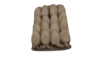 SEPPIE INDOPACIFICHE 20/40 VERY CHEF 3X2 KG