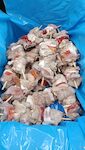 SPIEDINI MISTI 180 GR 'DIA' 1X4 KG
