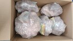 PIOVRE MAROCCO KING 1500/2000 'MOYSEAFOOD' 1X11 KG CIRCA
