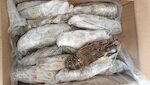 ARAGOSTE MAURITANIA 300/400 1X10 KG