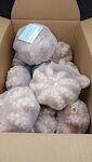 PIOVRE MAROCCO -1000 'MOYSEAFOOD' 1X11 KG CIRCA