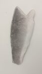 Branzino Filetto 120/160 Peso Pieno Turkia X5