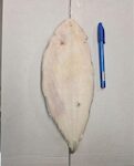 SOGLIOLA 4 VCH 200G1X5