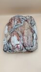 CALAMARI FRANCIA 200/300 GR 1X5 KG