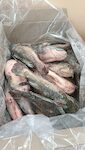 PESCE GATTO EVISCERATO MEDIO 1X5 KG