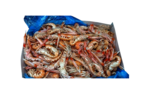 SCAMPI IRLANDA 31/40 3X3 KG