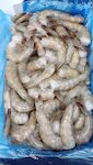 Mazzancolle code 31/35 (peso pieno) 2kg