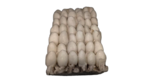 SEPPIE INDOPACIFICHE 40/60 VERY CHEF 3X2 KG