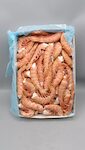 GAMBERICODE SC1 'SOLIMENO' 6X2 KG