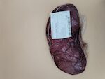 VITELLONE 4I FILETTO 1,5 SENZA CORDONE circa 12