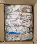 CALAMARI MAR.MIX BORDO 4 CIRCA 7KG