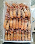 SCAMPI DK 10/15 AZOTO PESO PIENO 3X2