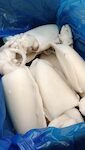 SEPPIE MAROCCO 1500/2000 1X12 KG