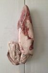CALAMARI OLANDA 1/300 PESO PIENO IQF 1X5