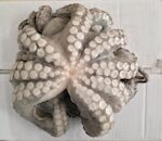 PIOVRA INDONESIA 1500/2000 1X10