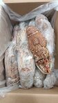 ARAGOSTE MAURITANIA 600/800 1X10 KG