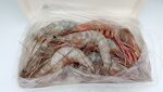 MAZZANCOLLE INTERE ECUADOR U/7 10X700 GR