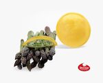 PANCIOTTI CON PUNTE DI ASPARAGI E MASCARPONE 1X2 KG